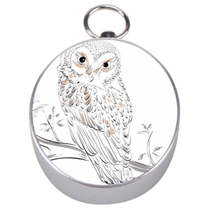 Owl Bird Wildlife Bird Of Prey Silver Compasses