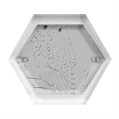 Owl Bird Wildlife Bird Of Prey Hexagon Wood Jewelry Box