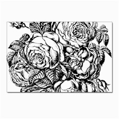 Roses Bouquet Flowers Sketch Postcard 4 x 6  (pkg Of 10) by Modalart