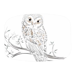 Owl Bird Wildlife Bird Of Prey Mini Square Pill Box