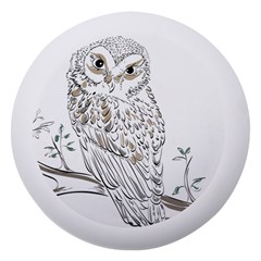 Owl Bird Wildlife Bird Of Prey Dento Box With Mirror