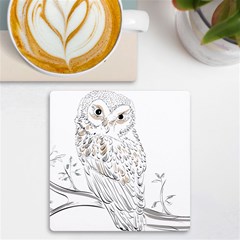 Owl Bird Wildlife Bird Of Prey UV Print Square Tile Coaster 