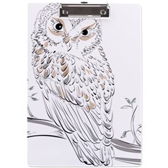 Owl Bird Wildlife Bird Of Prey A4 Acrylic Clipboard