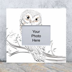 Owl Bird Wildlife Bird Of Prey White Wall Photo Frame 5  X 7  by Modalart