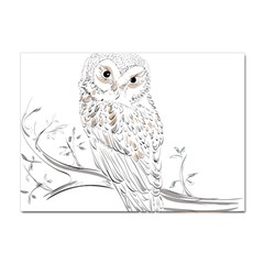 Owl Bird Wildlife Bird Of Prey Crystal Sticker (A4)