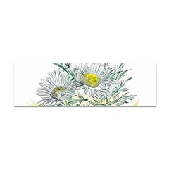 Thistle Alpine Flower Flower Plant Sticker Bumper (10 Pack) by Modalart