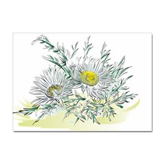 Thistle Alpine Flower Flower Plant Sticker A4 (10 Pack) by Modalart