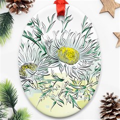 Thistle Alpine Flower Flower Plant Oval Ornament (two Sides) by Modalart