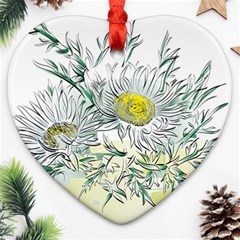 Thistle Alpine Flower Flower Plant Heart Ornament (two Sides)