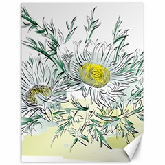 Thistle Alpine Flower Flower Plant Canvas 12  X 16  by Modalart