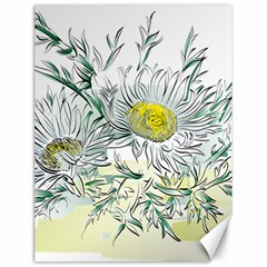 Thistle Alpine Flower Flower Plant Canvas 18  X 24  by Modalart