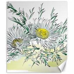 Thistle Alpine Flower Flower Plant Canvas 20  X 24  by Modalart