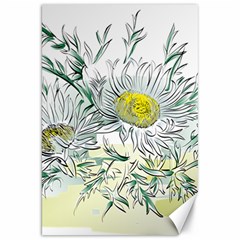 Thistle Alpine Flower Flower Plant Canvas 20  X 30  by Modalart