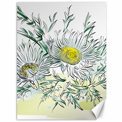 Thistle Alpine Flower Flower Plant Canvas 36  X 48  by Modalart