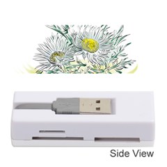 Thistle Alpine Flower Flower Plant Memory Card Reader (stick) by Modalart