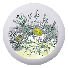 Thistle Alpine Flower Flower Plant Dento Box With Mirror by Modalart