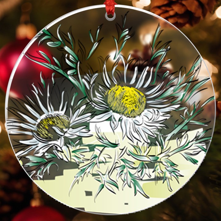 Thistle Alpine Flower Flower Plant UV Print Acrylic Ornament Round