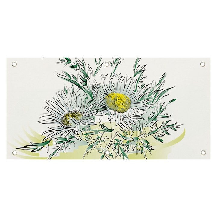 Thistle Alpine Flower Flower Plant Banner and Sign 6  x 3 