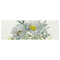 Thistle Alpine Flower Flower Plant Banner And Sign 9  X 3  by Modalart