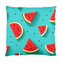 Watermelon Fruit Slice Standard Cushion Case (one Side) by Bedest