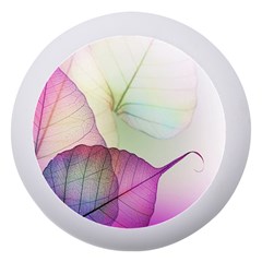 Leaf Desenho Micro Dento Box With Mirror by Bedest