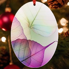 Leaf Desenho Micro Uv Print Acrylic Ornament Oval by Bedest