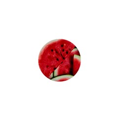 Watermelon Fruit Green Red 1  Mini Magnets by Bedest