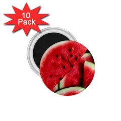 Watermelon Fruit Green Red 1 75  Magnets (10 Pack)  by Bedest