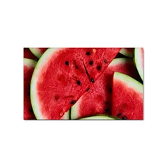 Watermelon Fruit Green Red Sticker Rectangular (10 Pack) by Bedest