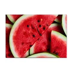 Watermelon Fruit Green Red Sticker A4 (10 Pack) by Bedest