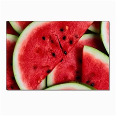 Watermelon Fruit Green Red Postcard 4 x 6  (pkg Of 10) by Bedest