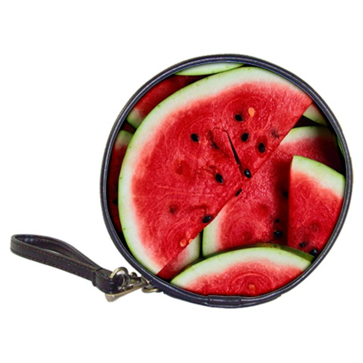 Watermelon Fruit Green Red Classic 20-CD Wallets