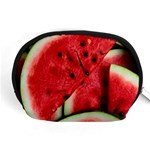 Watermelon Fruit Green Red Accessory Pouch (Medium) Front