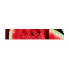 Watermelon Fruit Green Red Premium Plush Fleece Scarf (mini) by Bedest