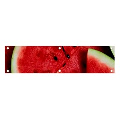 Watermelon Fruit Green Red Banner And Sign 4  X 1  by Bedest