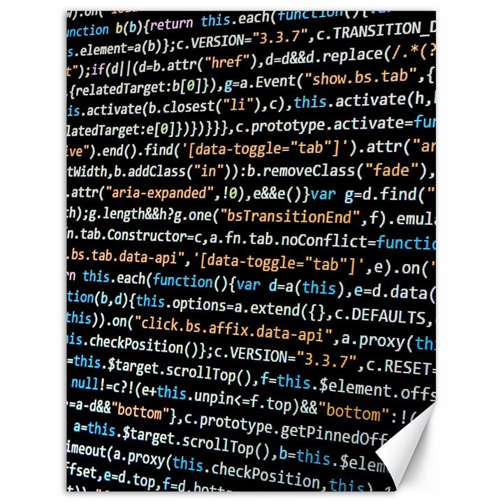 Close Up Code Coding Computer Canvas 18  x 24 