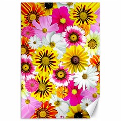 Flowers Blossom Bloom Nature Plant Canvas 20  X 30  by Amaryn4rt