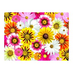 Flowers Blossom Bloom Nature Plant Two Sides Premium Plush Fleece Blanket (mini) by Amaryn4rt