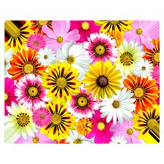 Flowers Blossom Bloom Nature Plant Two Sides Premium Plush Fleece Blanket (medium) by Amaryn4rt