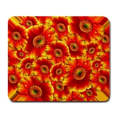 Gerbera Flowers Blossom Bloom Large Mousepad by Amaryn4rt