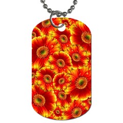 Gerbera Flowers Blossom Bloom Dog Tag (two Sides) by Amaryn4rt