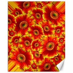 Gerbera Flowers Blossom Bloom Canvas 11  X 14 