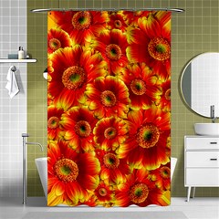 Gerbera Flowers Blossom Bloom Shower Curtain 48  X 72  (small)  by Amaryn4rt