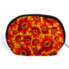 Gerbera Flowers Blossom Bloom Accessory Pouch (medium) by Amaryn4rt