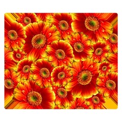 Gerbera Flowers Blossom Bloom Two Sides Premium Plush Fleece Blanket (small) by Amaryn4rt