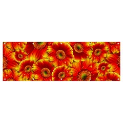 Gerbera Flowers Blossom Bloom Banner And Sign 12  X 4  by Amaryn4rt