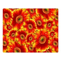 Gerbera Flowers Blossom Bloom Premium Plush Fleece Blanket (large) by Amaryn4rt