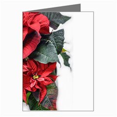 Star Of Bethlehem Star Red Greeting Card by Amaryn4rt