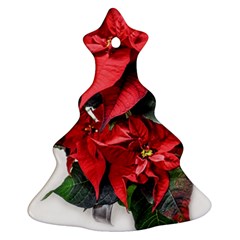 Star Of Bethlehem Star Red Christmas Tree Ornament (two Sides) by Amaryn4rt