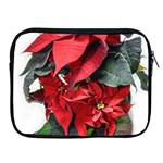 Star Of Bethlehem Star Red Apple iPad 2/3/4 Zipper Cases Front